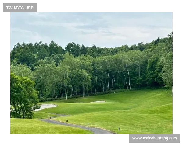 高尔夫社交圈:探索绿色球场上的友谊与商业机会 高尔夫社交圈:探索绿色球场上的友谊与商业机会