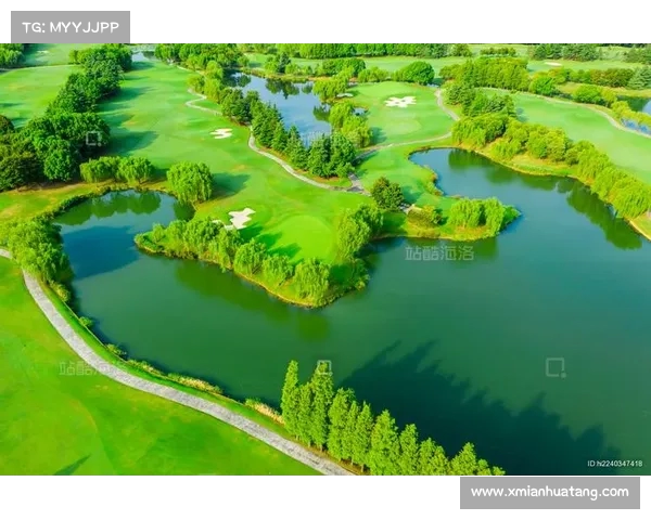 高尔夫社交圈:探索绿色球场上的友谊与商业机会 高尔夫社交圈:探索绿色球场上的友谊与商业机会